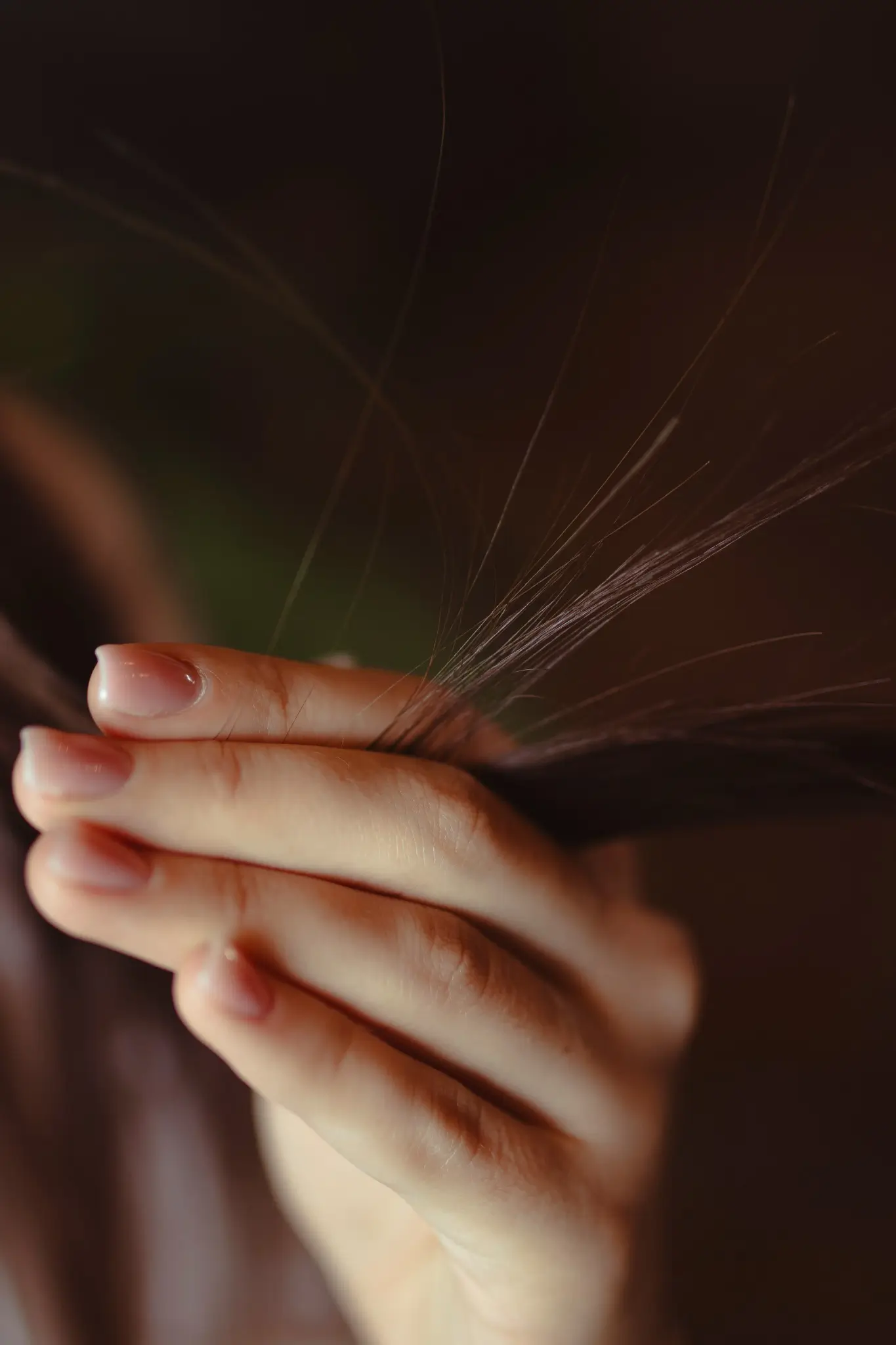 The Science of Florida Frizz